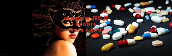 ECSTASY Магас