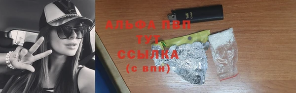 ECSTASY Магас