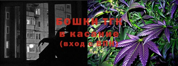 стаф Магадан