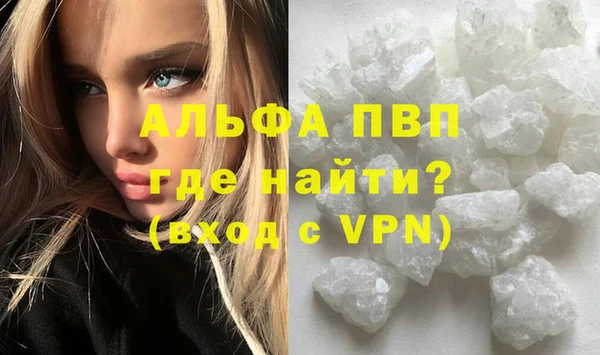 ECSTASY Магас